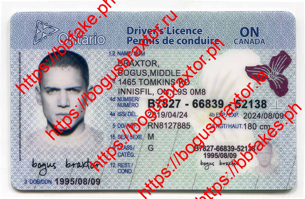 Bogus Braxtor PH Official Website - Buy Scannable ID @ BBFake