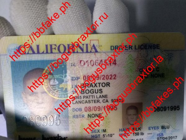 California Over 21(Old CA O21) - Image 4