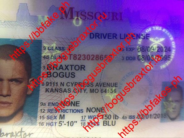Missouri Over 21(Old MO O21) - Image 2