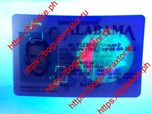 Alabama(AL) - Image 3