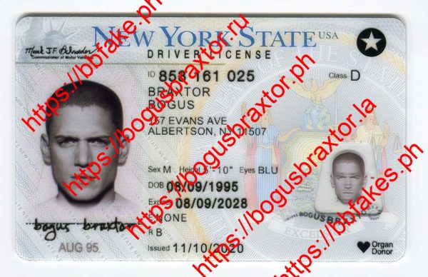 New York 2020 (NY O21 2020)